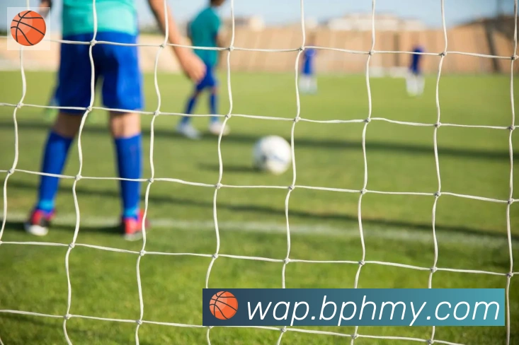 App Interface Preview