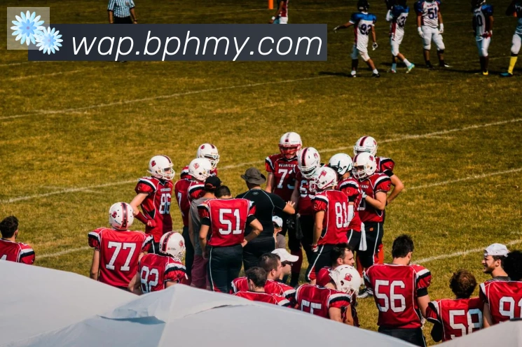 半岛网站网页版页面登入荣誉