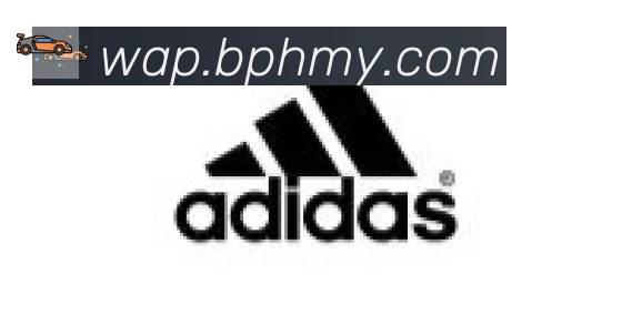 半岛网站网页版页面登入合作伙伴