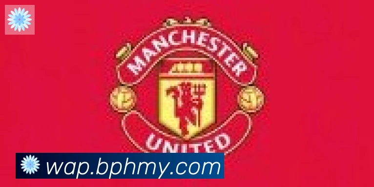 半岛网站网页版页面登入合作伙伴