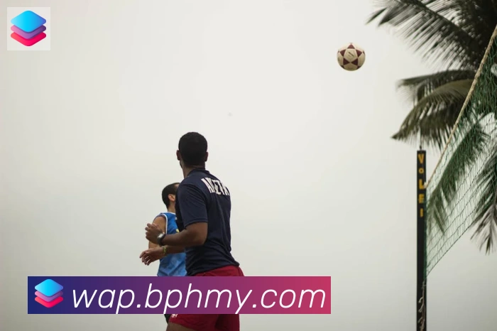 半岛网站网页版页面登入全站App